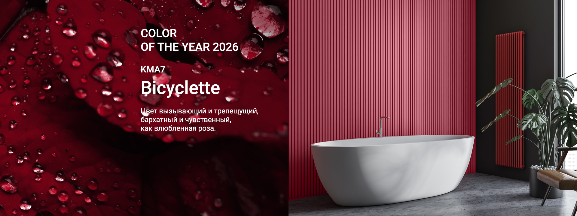 Color of the Year 2026 — KMA7 Bicyclette