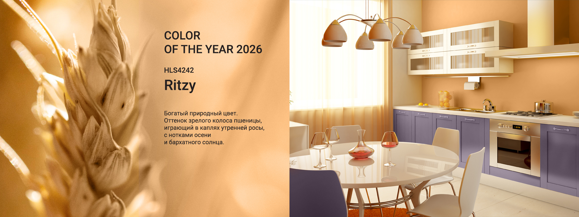 Color of the Year 2026 — HLS4242 Ritzy